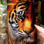 Демисезонное пальто (кардиган)